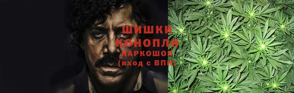 сатива Арсеньев