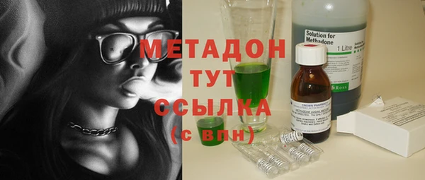 сатива Арсеньев
